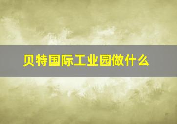 贝特国际工业园做什么