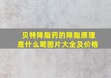 贝特降脂药的降脂原理是什么呢图片大全及价格