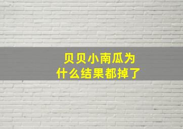 贝贝小南瓜为什么结果都掉了