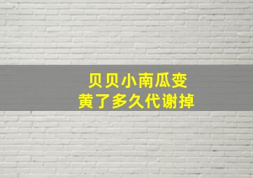 贝贝小南瓜变黄了多久代谢掉