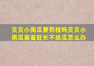 贝贝小南瓜要剪枝吗贝贝小南瓜藤蔓旺长不结瓜怎么办