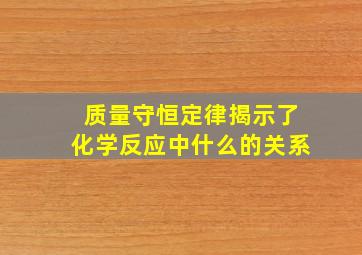 质量守恒定律揭示了化学反应中什么的关系