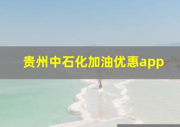 贵州中石化加油优惠app