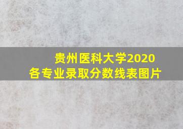 贵州医科大学2020各专业录取分数线表图片