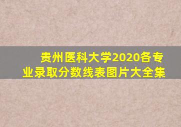 贵州医科大学2020各专业录取分数线表图片大全集