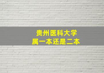 贵州医科大学属一本还是二本