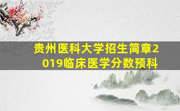 贵州医科大学招生简章2019临床医学分数预科