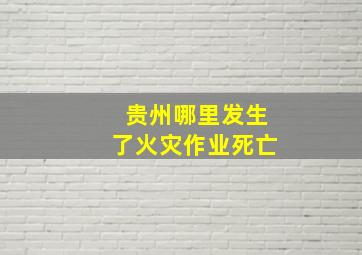 贵州哪里发生了火灾作业死亡