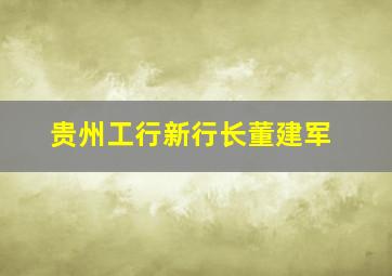 贵州工行新行长董建军