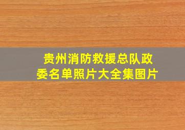 贵州消防救援总队政委名单照片大全集图片