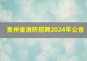 贵州省消防招聘2024年公告