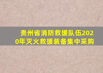 贵州省消防救援队伍2020年灭火救援装备集中采购