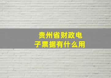 贵州省财政电子票据有什么用