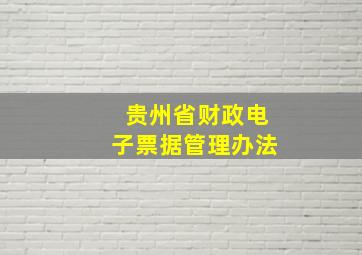 贵州省财政电子票据管理办法