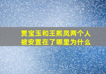 贾宝玉和王熙凤两个人被安置在了哪里为什么