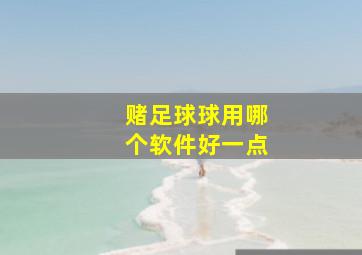 赌足球球用哪个软件好一点