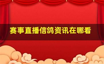 赛事直播信鸽资讯在哪看