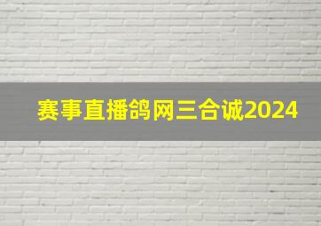 赛事直播鸽网三合诚2024