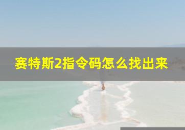 赛特斯2指令码怎么找出来