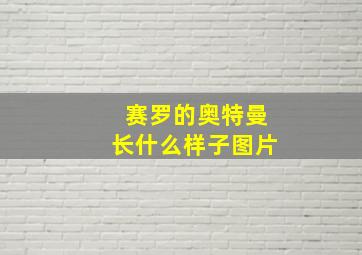 赛罗的奥特曼长什么样子图片