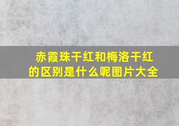 赤霞珠干红和梅洛干红的区别是什么呢图片大全