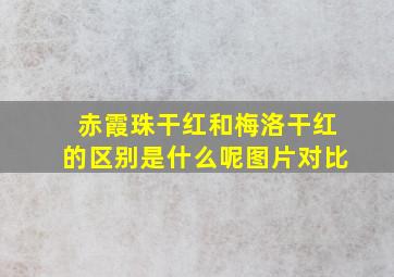 赤霞珠干红和梅洛干红的区别是什么呢图片对比