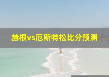 赫根vs厄斯特松比分预测