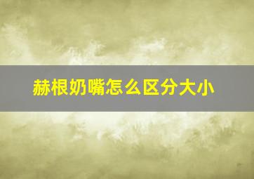 赫根奶嘴怎么区分大小