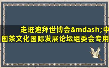 走进迪拜世博会—中国茶文化国际发展论坛组委会专用茶