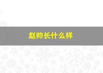 赵帅长什么样