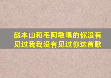 赵本山和毛阿敏唱的你没有见过我我没有见过你这首歌