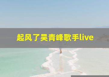 起风了吴青峰歌手live