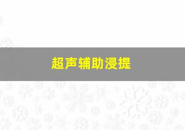 超声辅助浸提