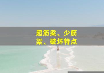 超筋梁、少筋梁、破坏特点