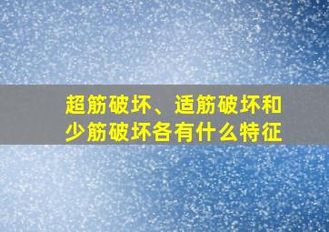 超筋破坏、适筋破坏和少筋破坏各有什么特征