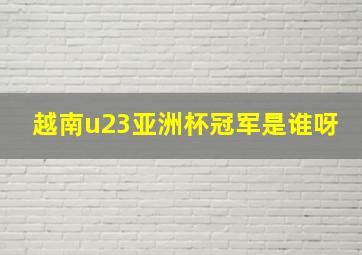 越南u23亚洲杯冠军是谁呀