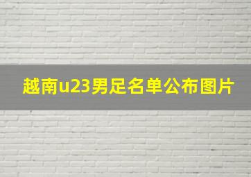 越南u23男足名单公布图片