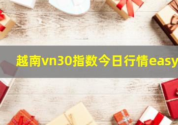 越南vn30指数今日行情easyt