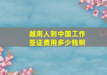 越南人到中国工作签证费用多少钱啊