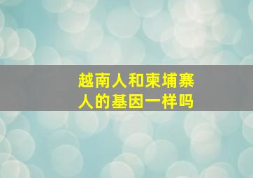 越南人和柬埔寨人的基因一样吗