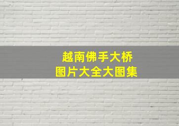 越南佛手大桥图片大全大图集