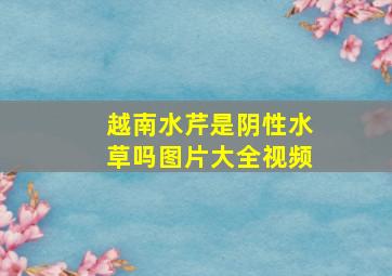 越南水芹是阴性水草吗图片大全视频