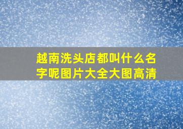 越南洗头店都叫什么名字呢图片大全大图高清