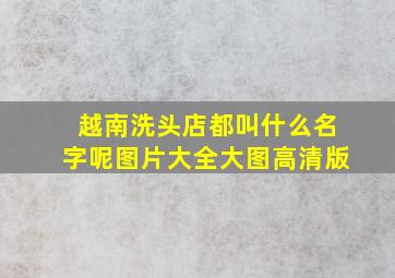 越南洗头店都叫什么名字呢图片大全大图高清版