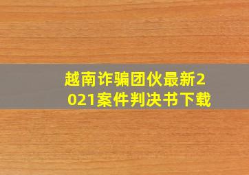 越南诈骗团伙最新2021案件判决书下载