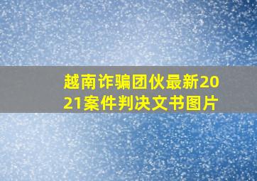 越南诈骗团伙最新2021案件判决文书图片