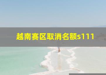 越南赛区取消名额s111