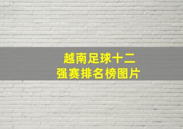 越南足球十二强赛排名榜图片