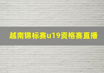 越南锦标赛u19资格赛直播