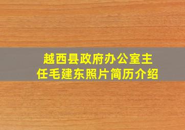 越西县政府办公室主任毛建东照片简历介绍